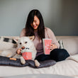 Load image into Gallery viewer, P.L.A.Y. Hollywoof Cinema Poppin' Pupcorn Toy - dog enjoying popcorn next to dog mom on the couch with matching popcorn box