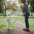 Load image into Gallery viewer, Landscape Series Deluxe Training Pouch in Wildflower on woman's belt loop with dog on leash begging for a treat