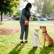 Load image into Gallery viewer, Landscape Series Deluxe Training Pouch in Sunrise - human wearing in park reaching into pouch for treats to give her two cute waiting pups