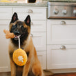 Load image into Gallery viewer, Barking Brunch Collection by P.L.A.Y. Chicken & Woofles Toy with chicken leg dangling from dog's mouth in kitchen