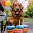 Load image into Gallery viewer, P.L.A.Y. Party Time Bone-appetite Cake Toy - piece seperated and in front of happy Golden Retriever laying on a park bench with balloons in the background