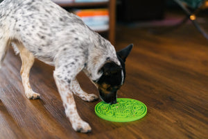 P.L.A.Y. ZoomieRex EverLick Mat -  Dog eating from Small Avocado green mat