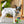 Load image into Gallery viewer, P.L.A.Y. 90s Classics - Dog with paw on Kickflippin&#39; K9 Skateboard Toy outside
