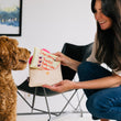 Load image into Gallery viewer, Love Bug Collection by P.L.A.Y. - Dog mom presenting the love letter to pup