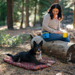 Load image into Gallery viewer, Scout & About Outdoor Chill Pad in Mocha with dog laying on it and mom sitting on a log smiling down with Landscape River Deluxe Training Pouch