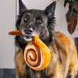 Load image into Gallery viewer, Big dog with Cinna-bone toy hanging out of mouth from Pup Cup Cafe Collection by P.L.A.Y.