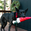 Load image into Gallery viewer, Merry Woofmas Collection Good Boy Stocking Toy in mouth of beautiful black dog on deck wearing a bandana