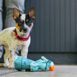 Load image into Gallery viewer, P.L.A.Y. Totally Touristy Statue of Liberty Dog Toy - both sizes of toy pictured with puppy