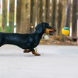 Load image into Gallery viewer, P.L.A.Y. Dog Tennis Ball - dog chasing after ball