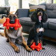 Load image into Gallery viewer, P.L.A.Y. Totally Touristy Golden Gate Bridge Dog Toy - both sizes of toys pictured with big and little dogs