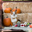 Load image into Gallery viewer, Gallery: Howling Haunts Plush Toy Set PY7092AUF
