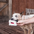 Load image into Gallery viewer, Gallery: Howling Haunts Fangs Toy PY7091CSF