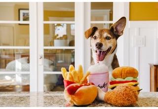 5 CUTEST DOG TOYS OF ALL TIME