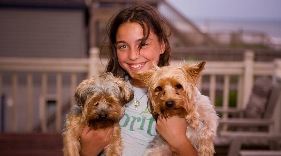 4 Family Games for You, Your Kids, and Your Pets