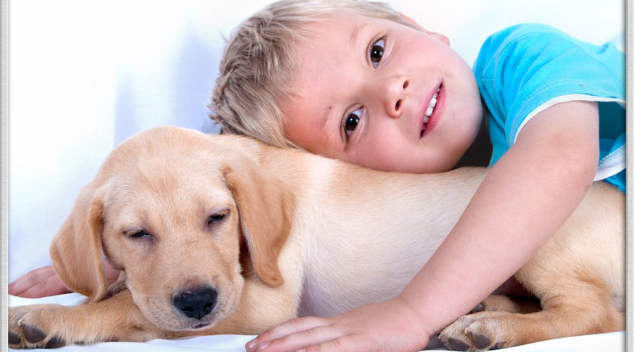 Why Pets Give Kids More Than Just Great Memories