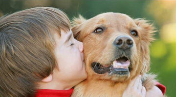 The Top Six Benefits Of Having A Pet For Your Family