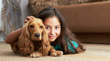 Six Tips To Control Pet Odor If You Have A Dog Or Cat That Lives Indoors