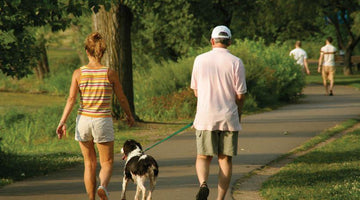 Exercise Central: What's the Best Time of Day to Walk Your Dog?