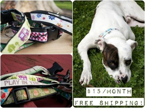 Subscription Services Go to the Dogs