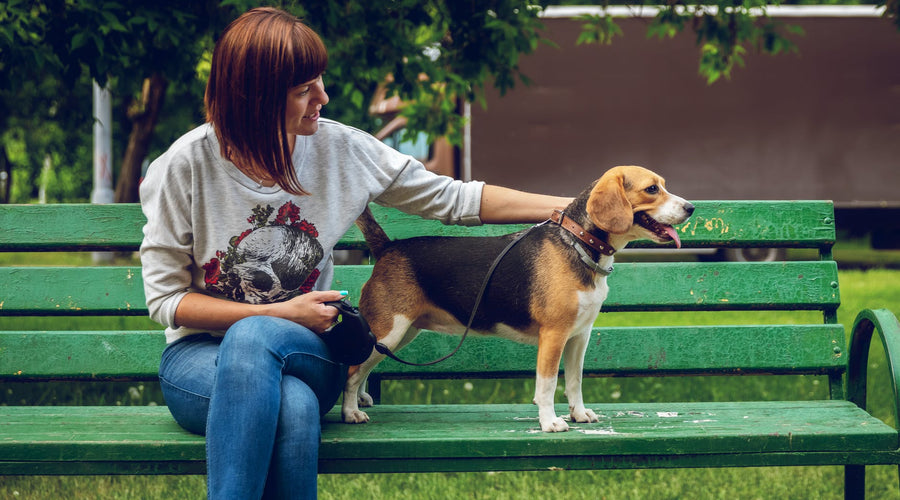 How Dogs Can Help With Stress and Anxiety