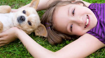 How to Teach Your Youngster to Care for Their New Puppy
