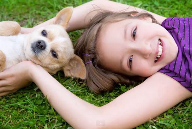 How to Teach Your Youngster to Care for Their New Puppy