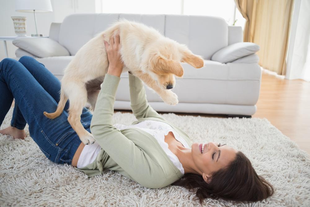 Best Area Rugs for Pet Owners P.L.A.Y.
