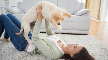 Best Area Rugs for Pet Owners