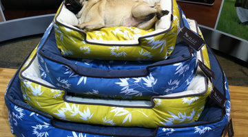 Wordless Wednesday: Princess and the Pea