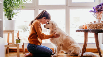10 Tips for First-Time Dog Owners
