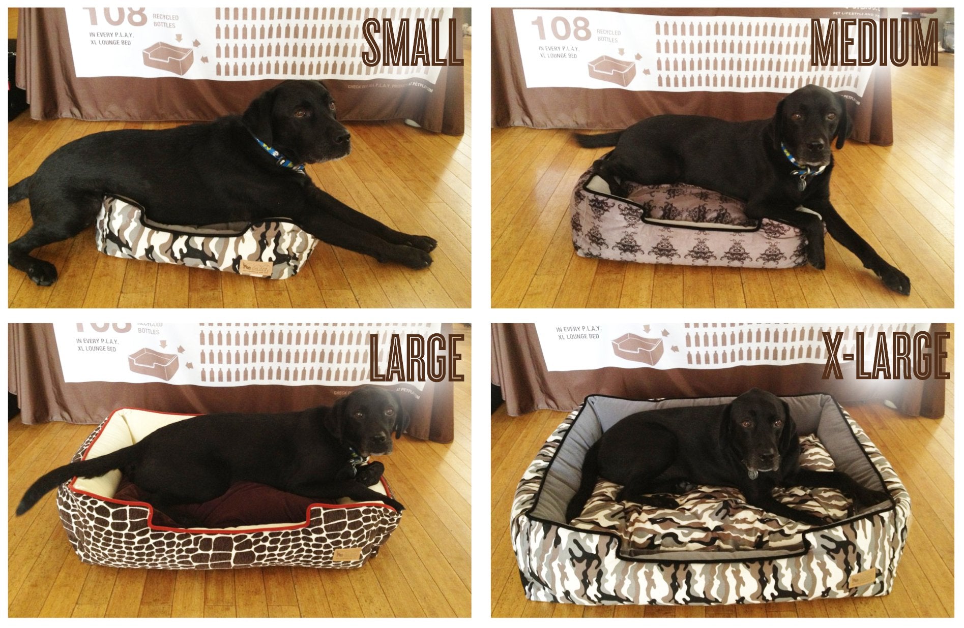 Does A Dog Need A Bed