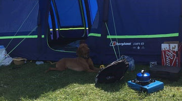 The Best Dog Camping Gear