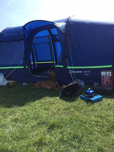 The Best Dog Camping Gear