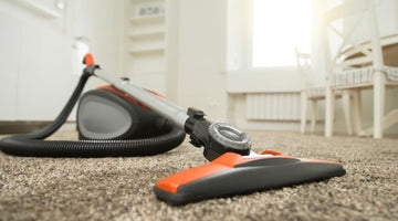 What are the Best Vacuums for Pet Hair?