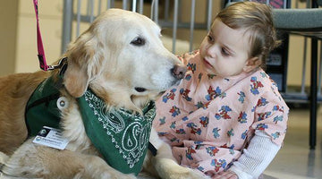 What's the Difference Between a Service Dog and a Therapy Animal?