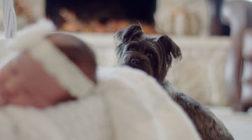 The Benefits of Raising Your Dog With Human Friends — aka Children