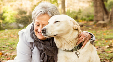 The Benefits Dogs Provide to Elderly Humans