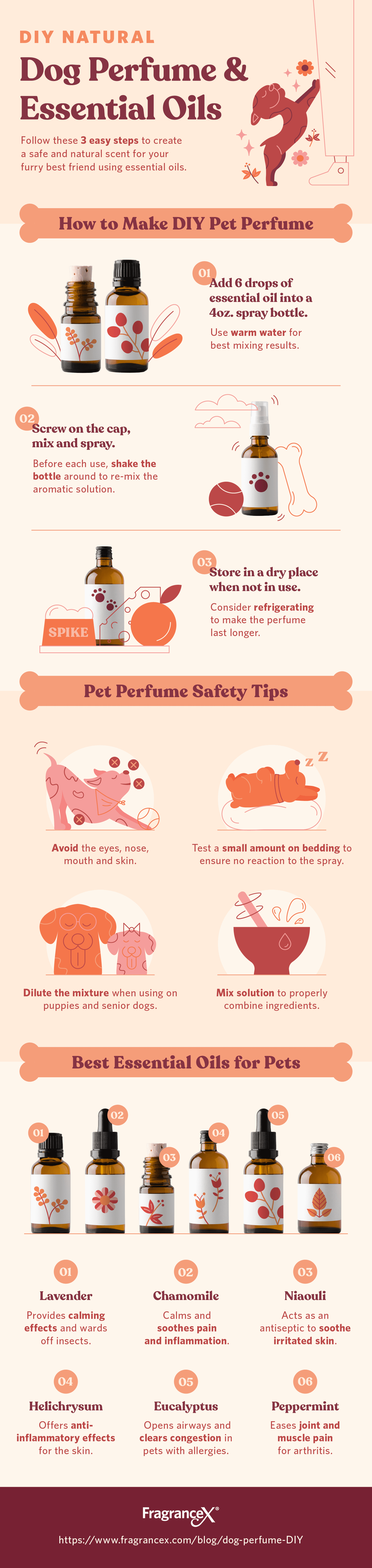 How to Make Your Own DIY Dog Perfume P.L.A.Y