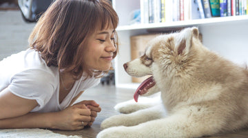 How to Cultivate a Healthy Family — Starting With Your Fur Child