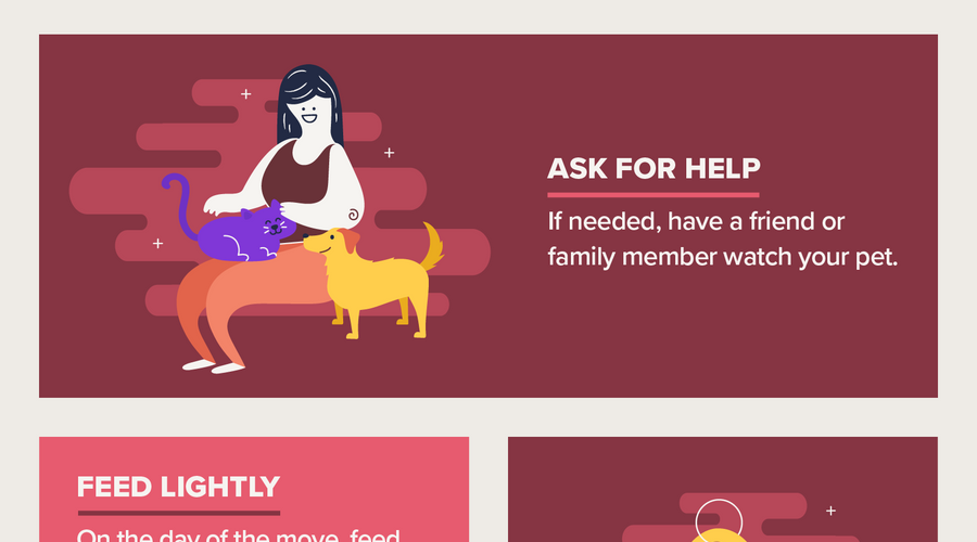 Moving Tips for Cat and Dog Parents