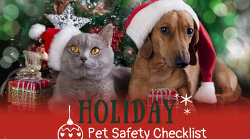10+ Holiday Pet Safety Tips