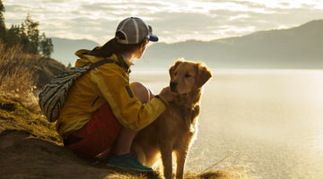 8 Benefits Going For a Walk Has For Your Dog's Health and Behavior