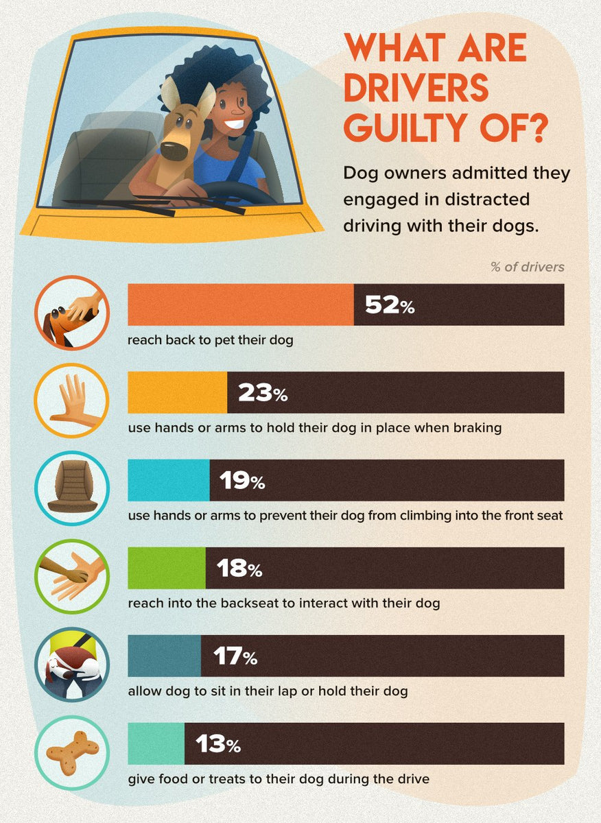 Car Safety for Driving With Your Dog as CoPilot P.L.A.Y.