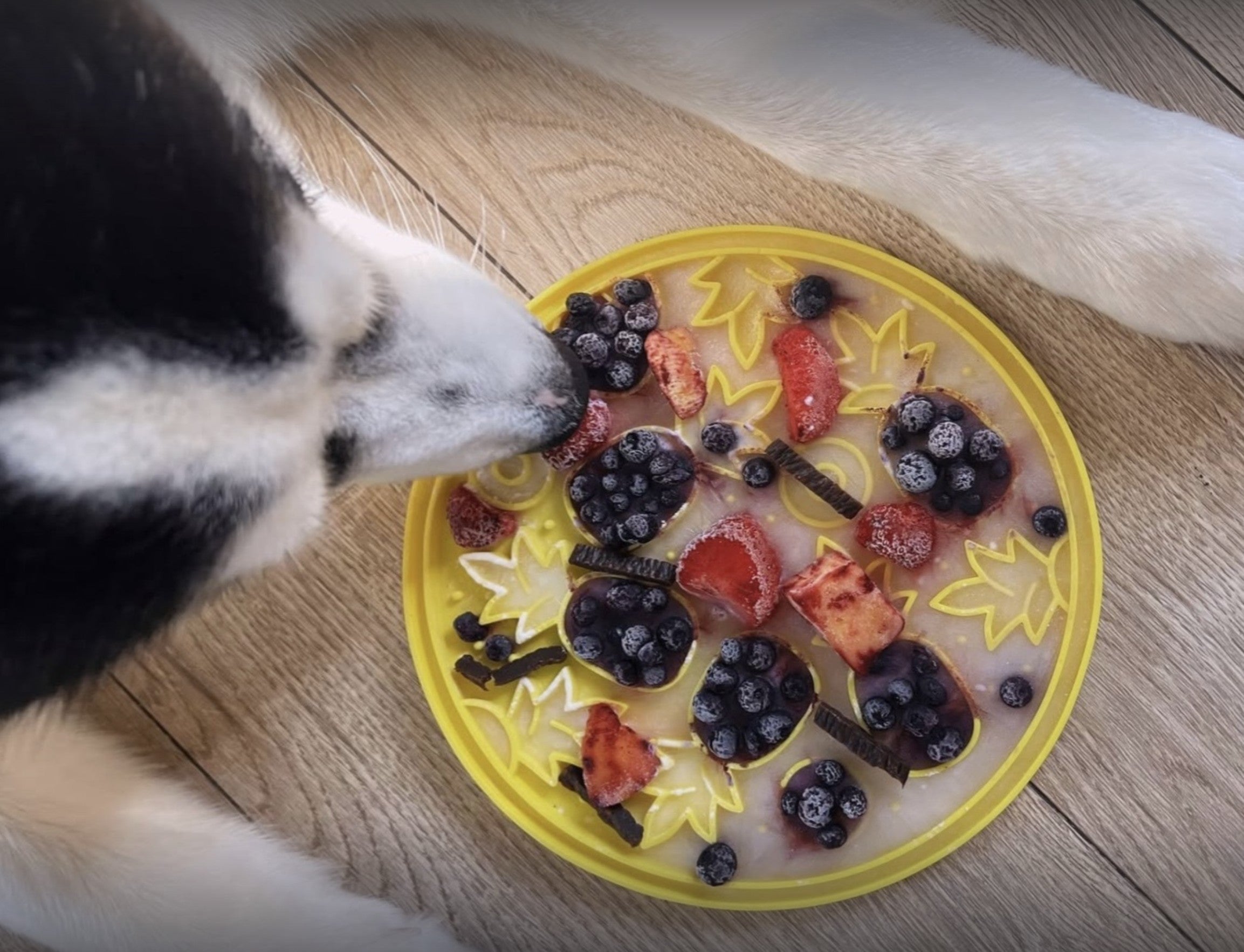 Easy Lick Mat Recipes for Dogs