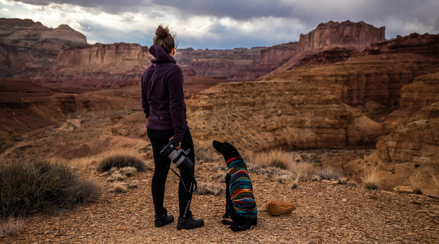 5 Pet Trends You Should Know About