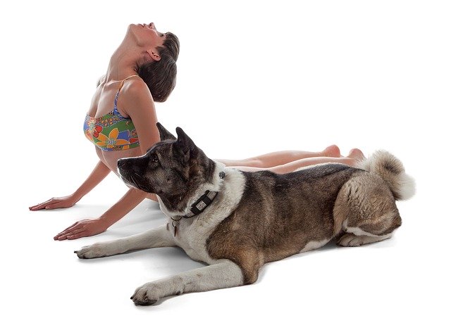 Practicing “Doga”! 5 Advantages For All Dogs! (and dog owners)