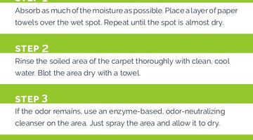 Carpet Pet Odor Removal Guide