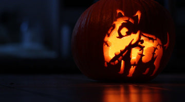 A Halloween Spent at Home Should Involve Your Dog, Too