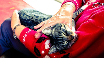 3 Ways to Ensure That You Can Take Your Pet with You to Senior Living