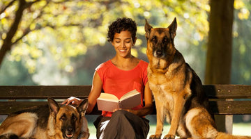 Eight Ways A Professional Pet Sitter Is The Right Choice
